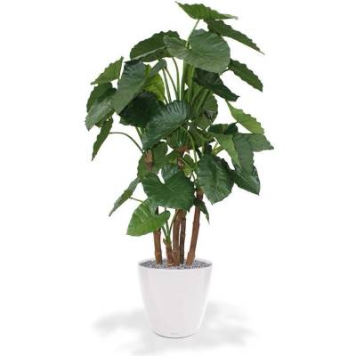MF Umělá rostlina Alocasia Calidora (165cm)