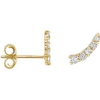 Blush Златни дамски обеци Blush 7319YZI (7319YZI)