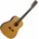Tanglewood TW40