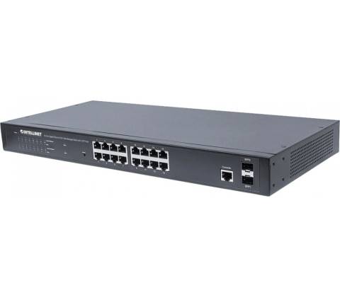 Intellinet 561341