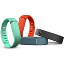 Fitbit Flex