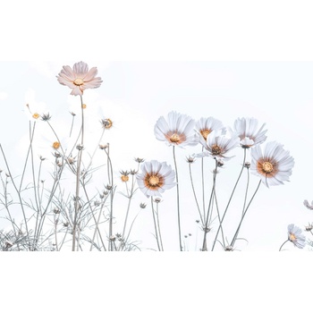 DIMEX ART s. r. o Флизелинов фототапет нежни цветя 375 x 250 см