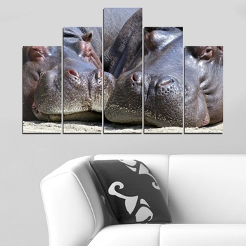 Vivid Home Картини пана Vivid Home от 5 части, Животни, Канава, 110x65 см, 5-та Форма №0478