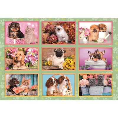 Clementoni - Puzzle Puppies Collage - 180 piese