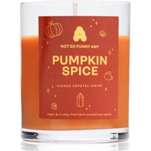 Not So Funny Any Crystal Candle Pumpkin Spice 220 g