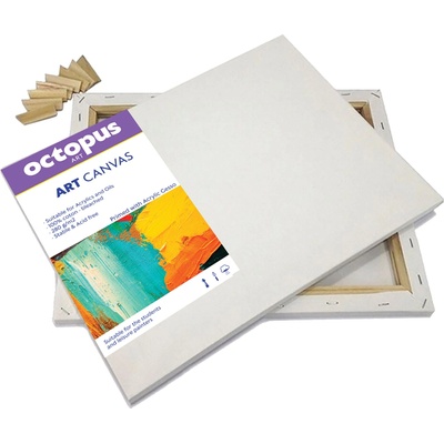 UNIVERZAL Платно за рисуване Octopus, с рамка, 40x50cm (32006-А)