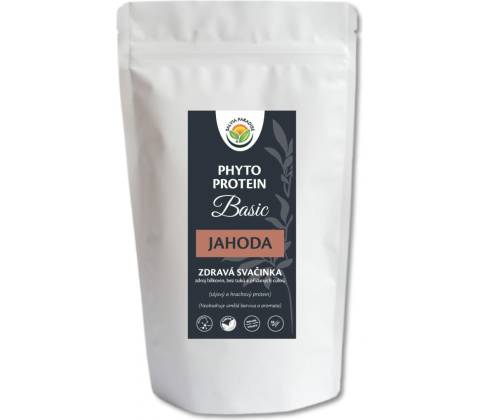 Salvia Paradise Phyto Protein Basic 300 g