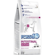 Forza 10 Intestinal Active Nutraceutická výživa pre problémy so zažívacím traktom 10 kg