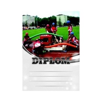 Diplom 6676