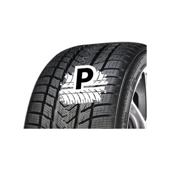 Gripmax Status Pro Winter 245/35 R20 95V