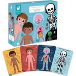 Janod Ciało człowieka 50 75 i 100 dielov