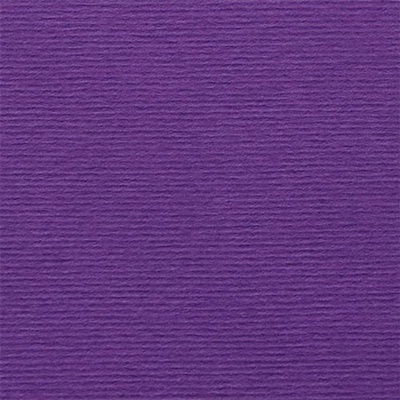 Fabriano Картон Elle Erre, 70 x 100 cm, 220 g/m2, № 104, вио (1535180505)