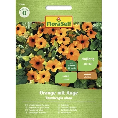 Černooká Zuzana Thunbergie křídlatá FloraSelf oranžová