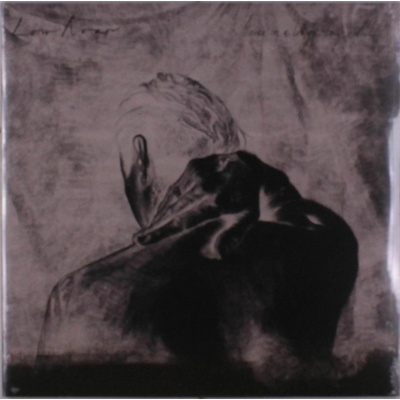 Low Roar: Once In A Long, Long While 2 LP