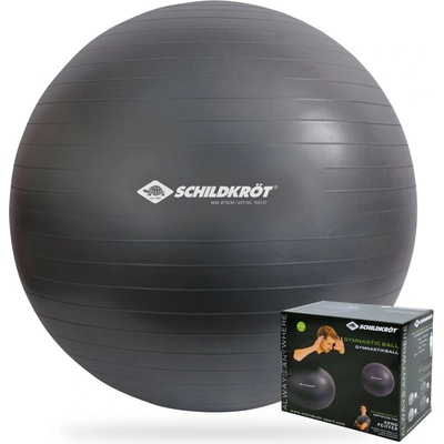 Schildkröt Fitness Gym Ball 75 cm