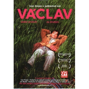 DM discont Vaclav (018807)