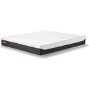 Tempur PRO PLUS