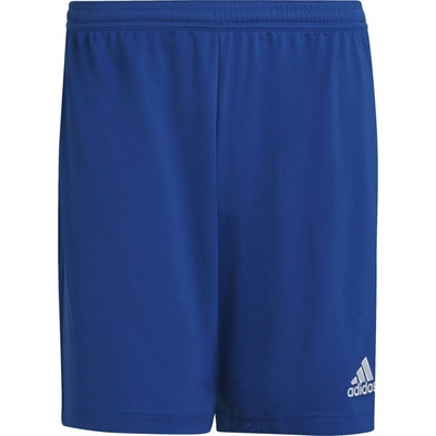 ADIDAS ENTRADA 22 team royal