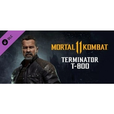 Mortal Kombat 11 Terminator T-800
