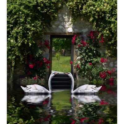 AG Design FTNXL-2536 Fototapeta vliesová Swans rozměry 180 x 202 cm