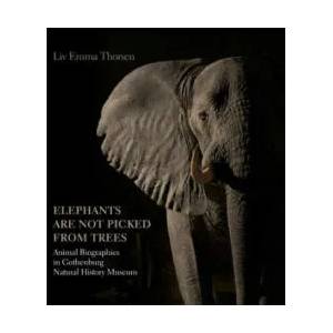 Elephants Are Not Picked from Trees | Liv Emma Thorsen (ISBN: 9788771242126)
