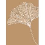 Veronika Boulová Постер 29x41 cm Gingko - Veronika Boulová (vboulova.25)