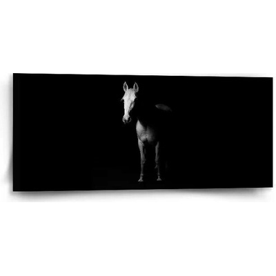 Sablio Obraz Kůň ve stínu - 110x50 cm