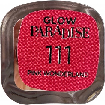 L´Oréal Paris Color Riche Shine Lipstick rúž 111 instaheaven 25 g
