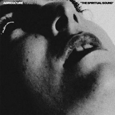 Agriculture - The Spiritual Sound (Limited Edition) (Lemon Yellow Coloured) (LP) (0657628454038)