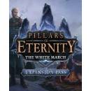Pillars of Eternity: The White March Expansion Pass