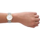 Skagen SKW3101