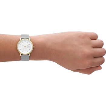 Skagen Дамски часовник Skagen Kuppel Lille - SKW3101 (SKW3101)