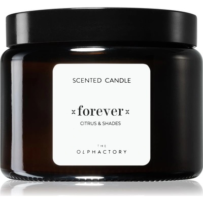 Ambientair The Olphactory Citrus & Shades Forever 360 g
