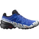 Pánské běžecké boty Salomon SpeedCross 6 GTX M nautical blue/black/white L41738800