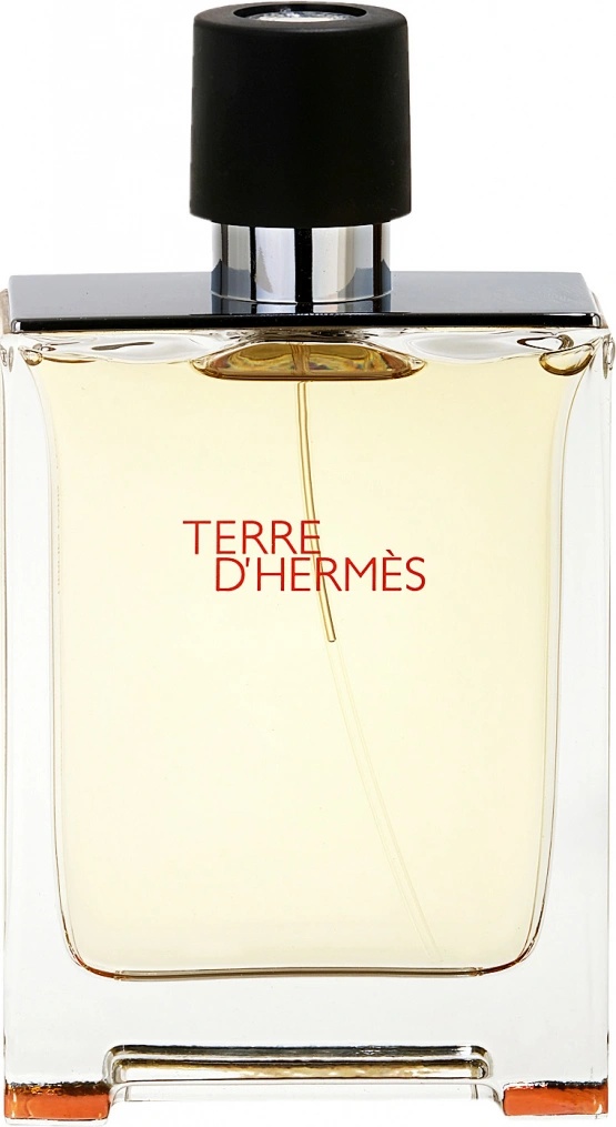Hermès Terre D'Hermès toaletná voda pánska 50 ml od 42,3