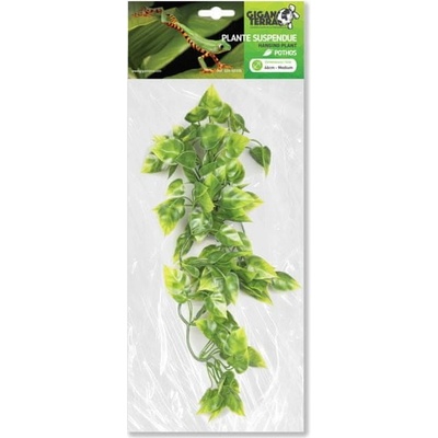 GiganTerra Závěsná rostlina Pothos 46 cm