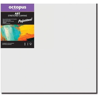 Octopus Professional malířské plátno 350 g 50 x 50 cm – Zboží Mobilmania