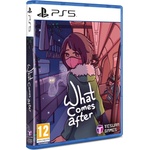 Dolores Entertainment What Comes After (PS5)