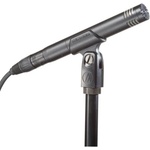Audio-Technica AT2031 Микрофон