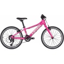 Pells Rocket Lite 2024