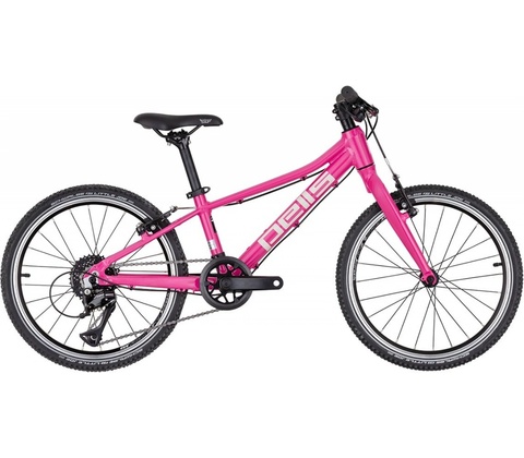 Pells Rocket Lite 2024