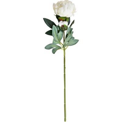 KS PIVONIA S PUKOM BIELA 70cm