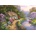 Anatolian - Puzzle Kim: Willow Glen Estate II - 260 piese