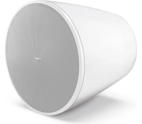 Bose DesignMax DM10P-SUB