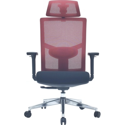 LTC Victory Ergo