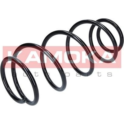 2110253 KAMOKA Pruzina podvozku