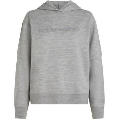 Icebreaker W Mer 360 RealFleece Elemental LS Hood svetlosivá