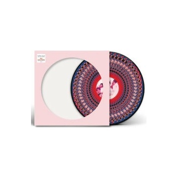 Take That: Everything Changes LP