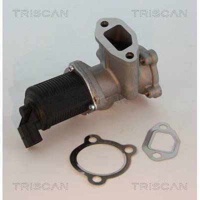 AGR - Ventil TRISCAN 8813 10003