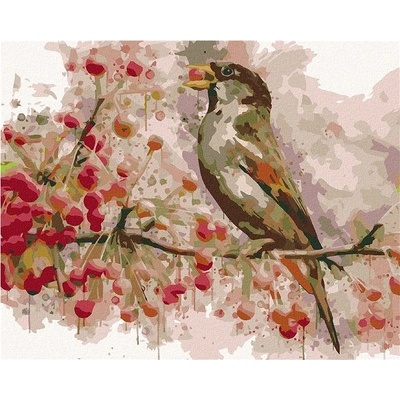 zuty Malování Podle Čísel Pták A Jeřabiny 80 x 100 Cm Plátno Rám